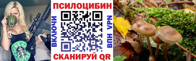 Галлюциногенные грибы Magic Shrooms  Кораблино 